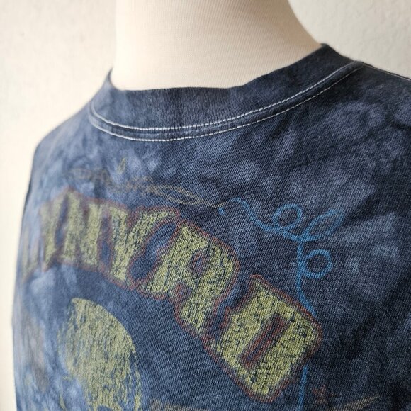 Lynyrd Skynyrd Anvil 2000s Y2K Reprint Short Sleeve Crew Neck TShirt Rock Band L - Picture 3 of 6